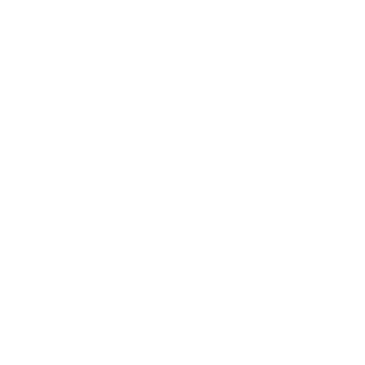 0911.219.599